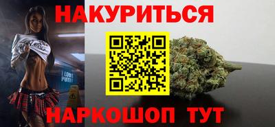шишки Будённовск