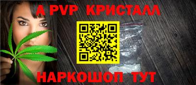 шишки Будённовск