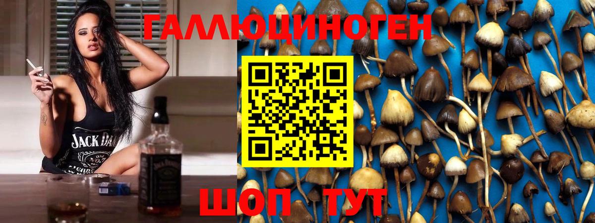 Галлюциногенные грибы Magic Shrooms  Вход с VPN  Печора 